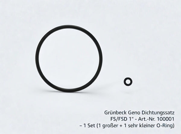 Dichtungssatz passend für Grünbeck Geno FS – FSD 1″ Zoll 100001