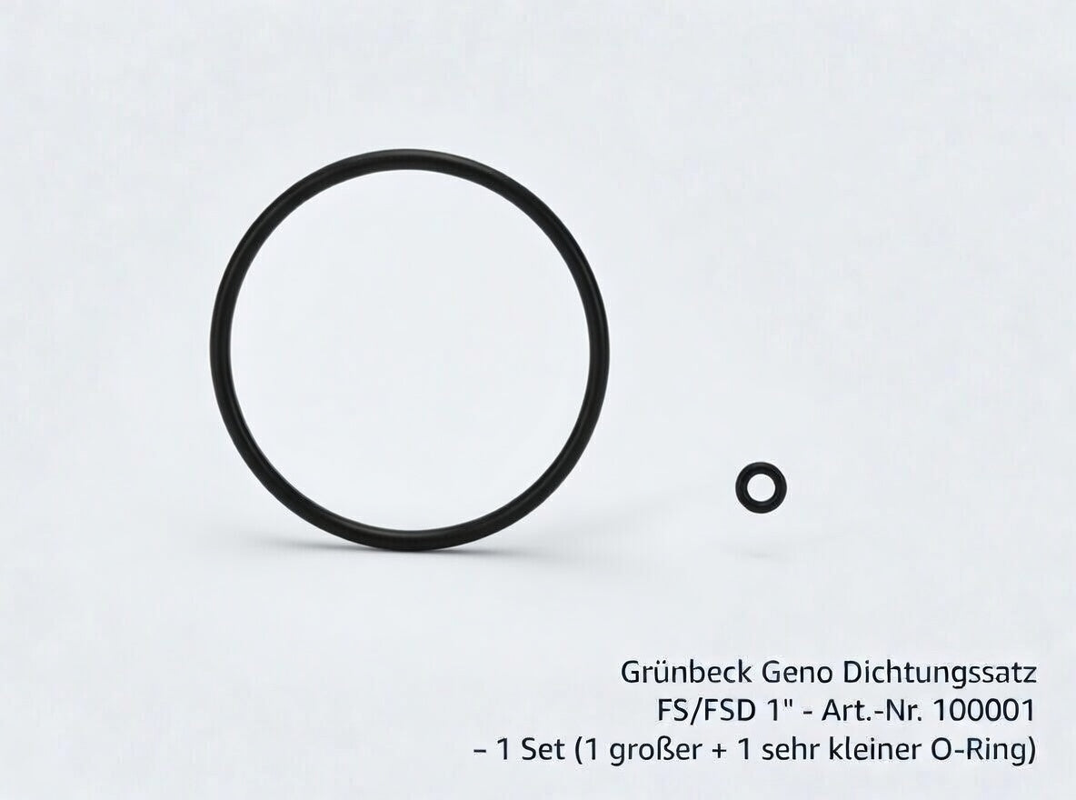 Grünbeck Geno Dichtungssatz FS – FSD 1″ Zoll 100001