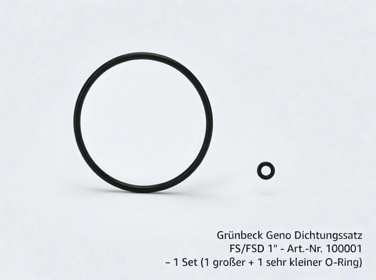 Grünbeck Geno Dichtungssatz FS – FSD 1″ Zoll 100001