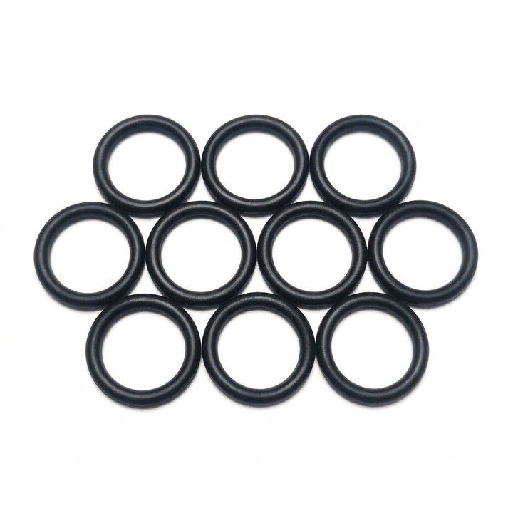 Zehn schwarze O-Ringe aus NBR 70